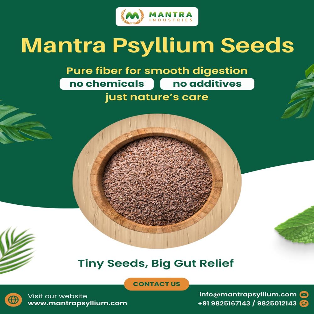 Natural Psyllium Seeds