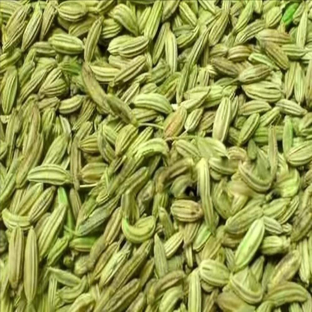 Fennel Seeds