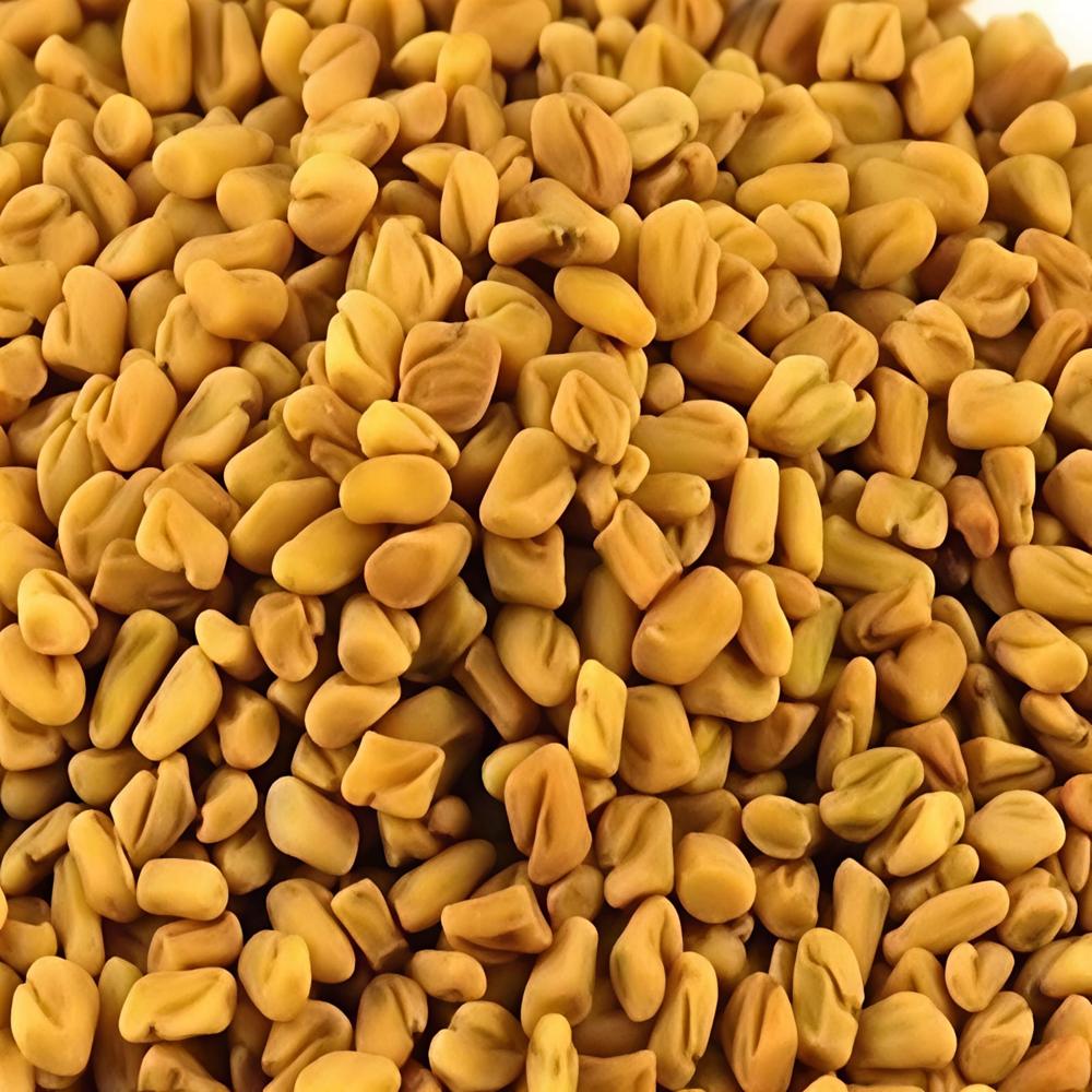 Fenugreek Seeds
