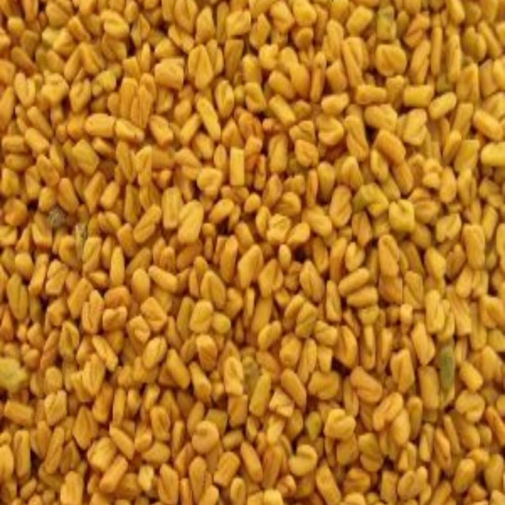 Fenugreek Seeds