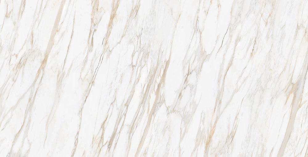 DLG - 87 60X120CM PORCELAIN TILES