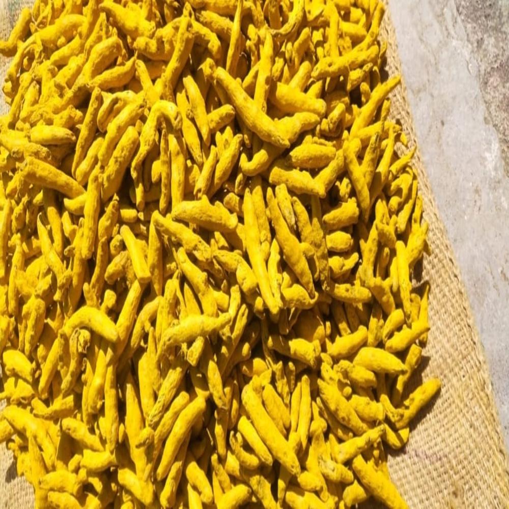 Turmeric Finger - Purity 99%, Moisture <10% | Vibrant Yellow, Earthy Flavor, Ideal For Cooking, Ayurvedic Remedies, And Dye Manufacturing