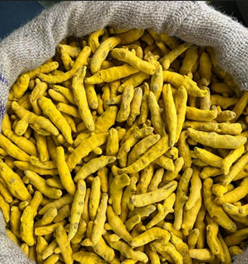 Turmeric Finger - Purity 99%, Moisture <10% | Vibrant Yellow, Earthy Flavor, Ideal For Cooking, Ayurvedic Remedies, And Dye Manufacturing