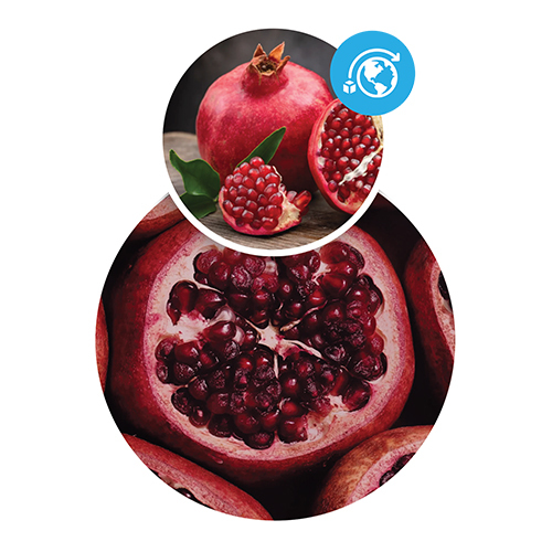 Fresh Pomegranates - Cultivation Type: Common