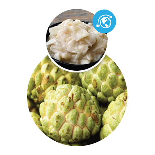 Fresh Custard Apple - Cultivation Type: Common