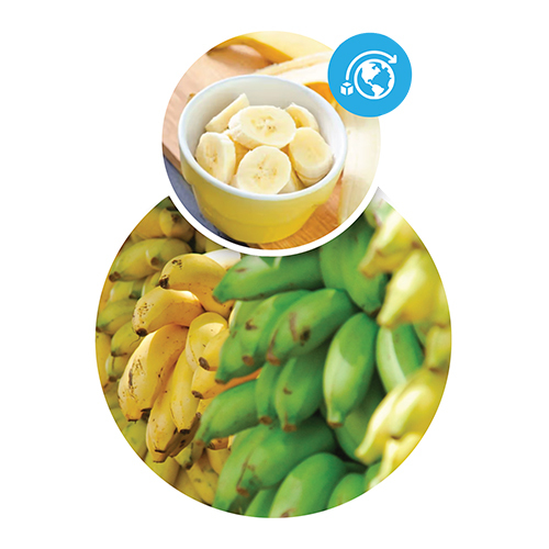 Fresh Banana - Color: Yellow