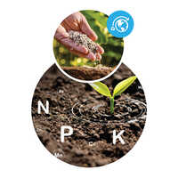 Chelated Micronutrient - Application: Organic Fertilizer