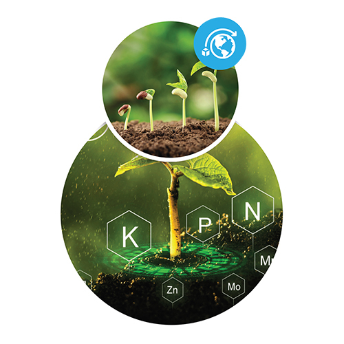 Plant Growth Regulator - Physical State: Powder