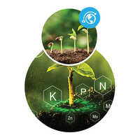 Plant Growth Regulator