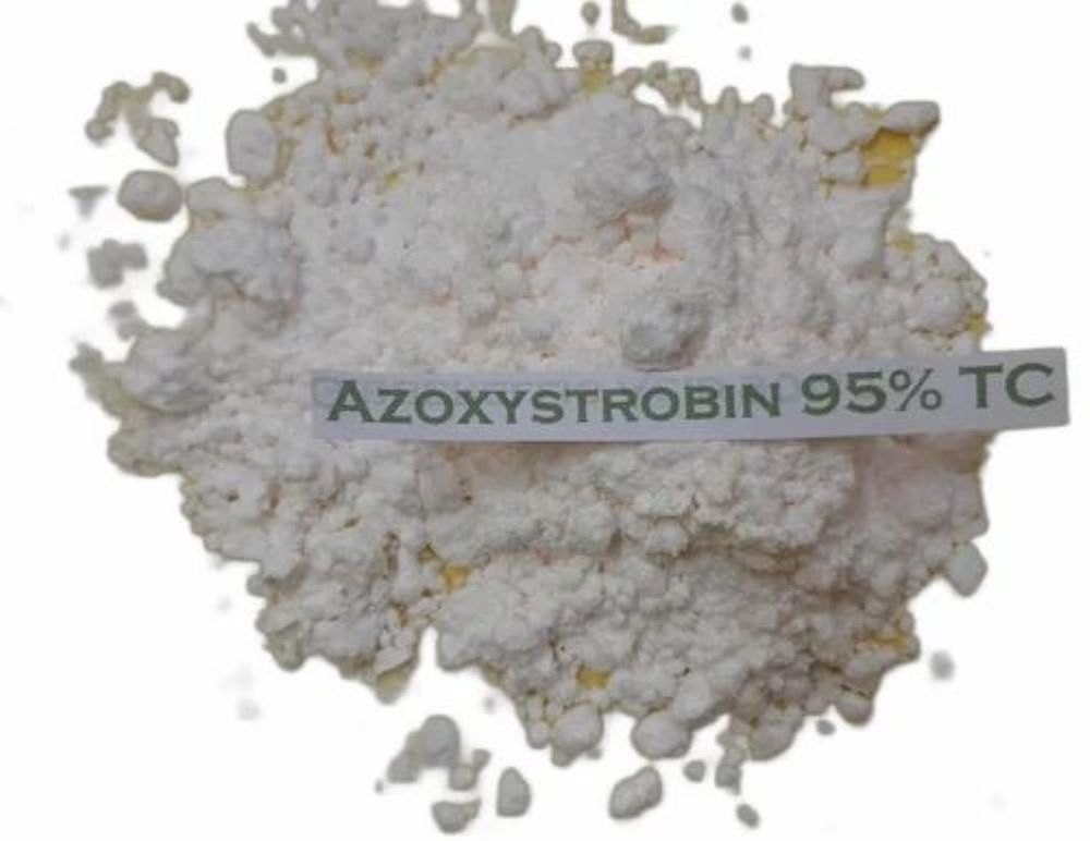 Agricultur Azoxystrobin Powder - Ash %: 25