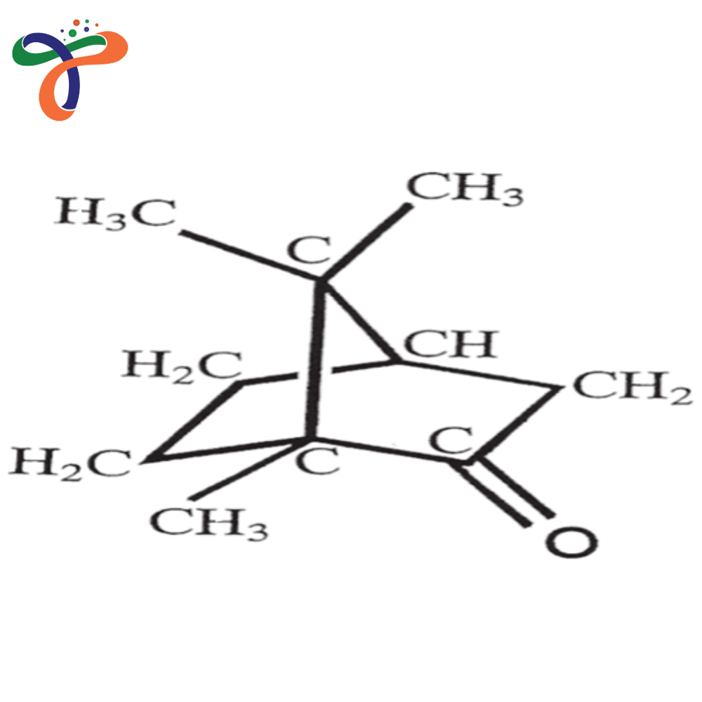 Camphor (76-22-2) (C10H16O)