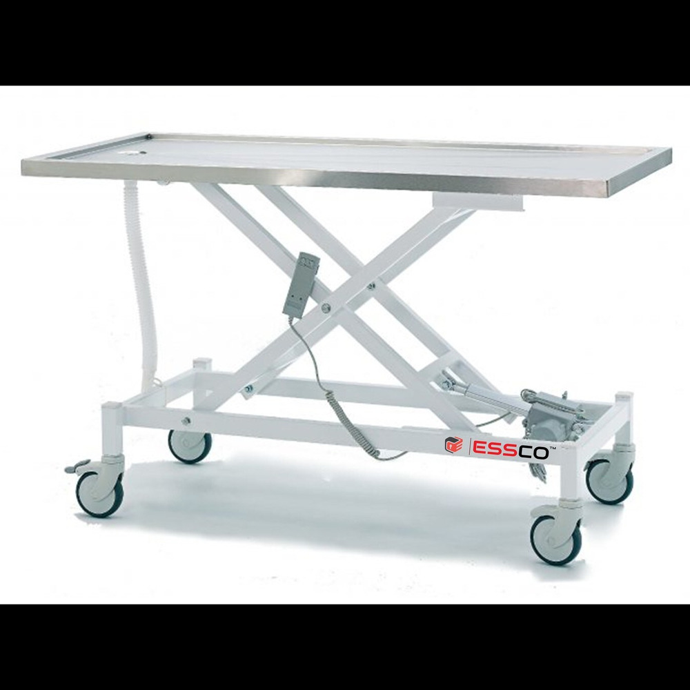 ESSCO 206 - Veterinary Table Electric