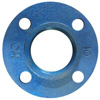 CI Flange