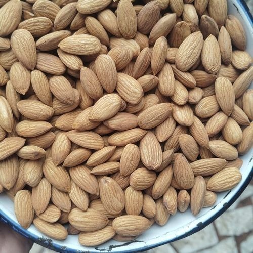 Solitaire Australian Jumbo Almond