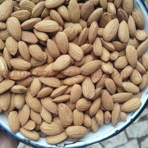 Solitaire Australian Jumbo Almond