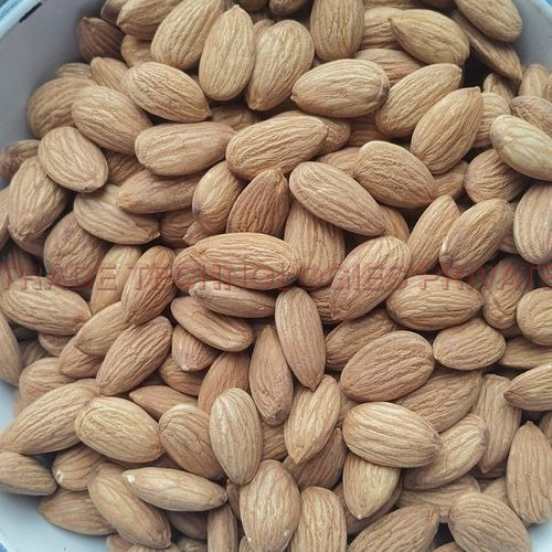 Solitaire Australian Mini Special Jumbo Almond