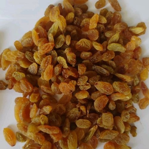 Indian Raisins