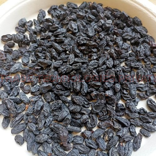 Seedless Black Afghan Raisins (kala draksh)