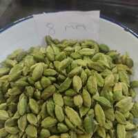 Cardamom 8 MM