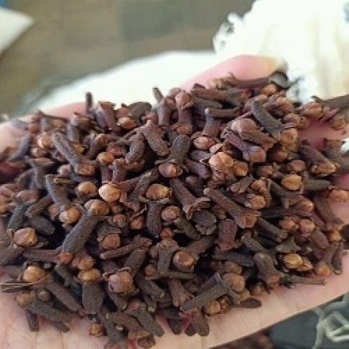 Indonesia cloves