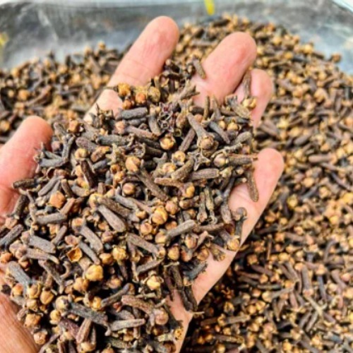 Zanzibar Cloves