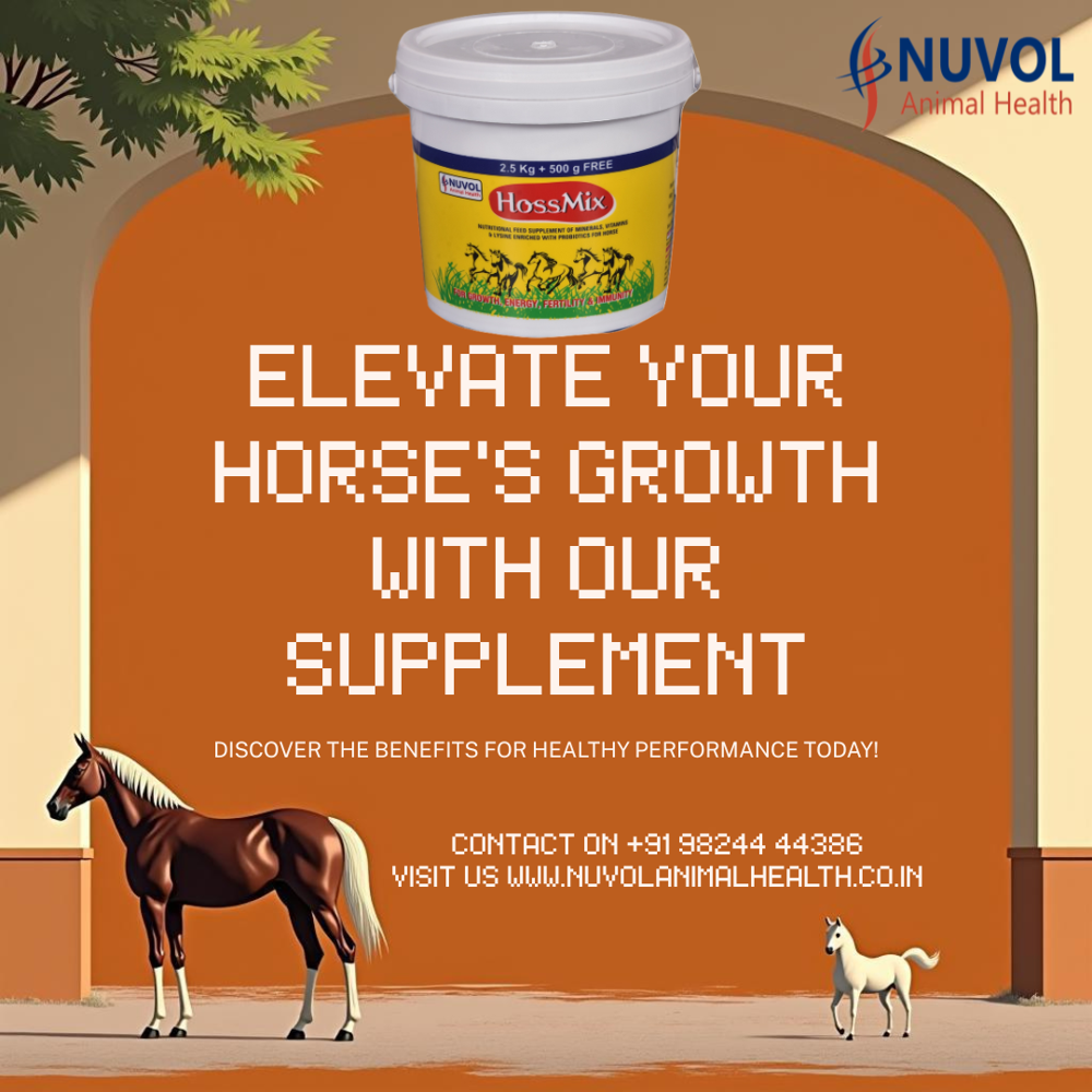 HossMix 15 Kg - Horse Feed Supplement