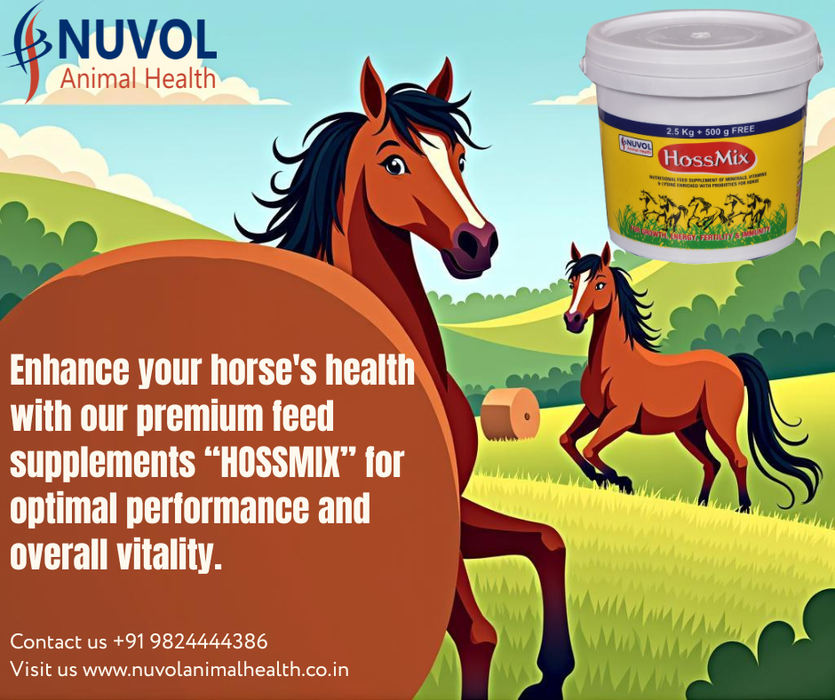 HossMix 15 Kg - Horse Feed Supplement