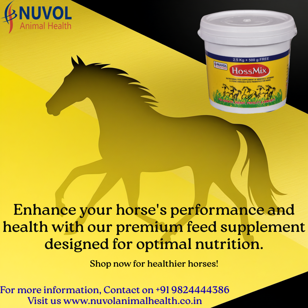 Powder Hossmix 1 Kg Horse Feed Additives