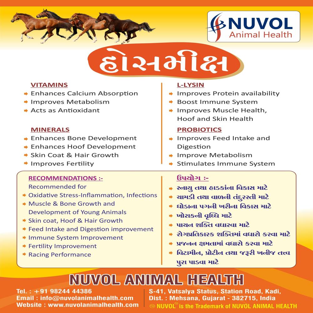 HossMix 1 Kg - Horse Feed Supplement