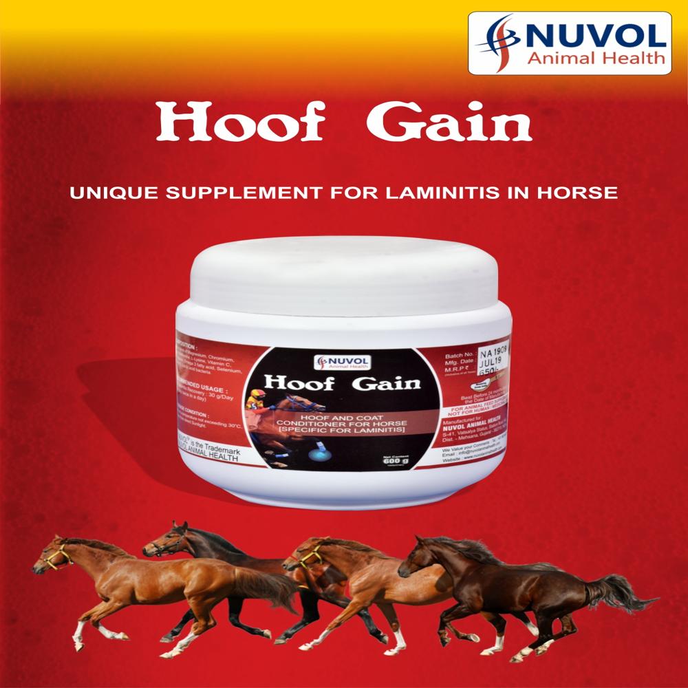 Hoof Gain Horse Hoof Supplement