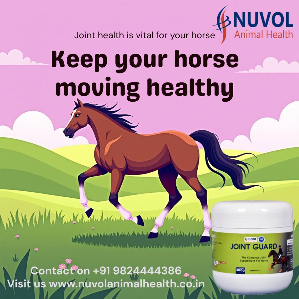 Joint Guard Horse Racing Supplement
