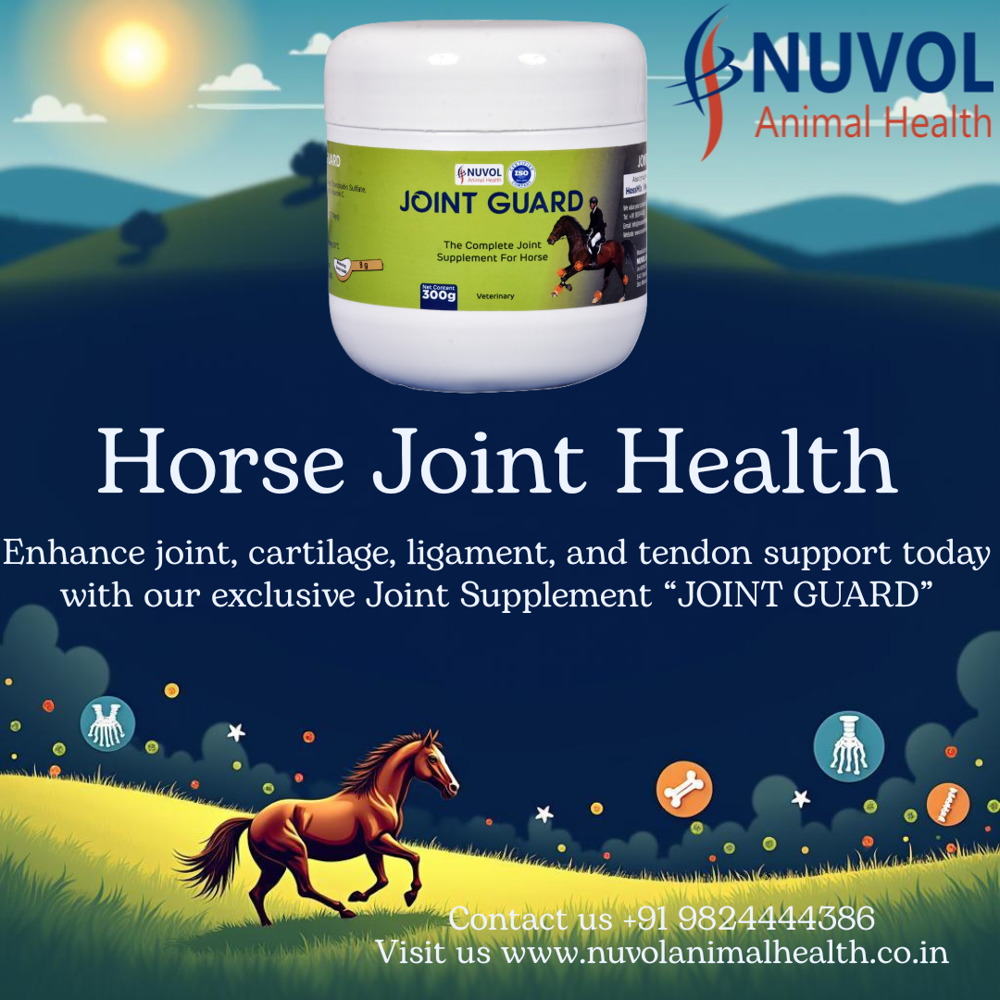 Joint Guard Horse Racing Supplement