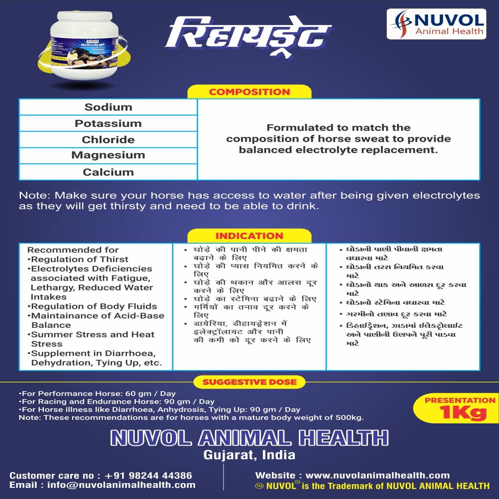 Powder 1 Kg Rehydrate Racing Horse Supplement