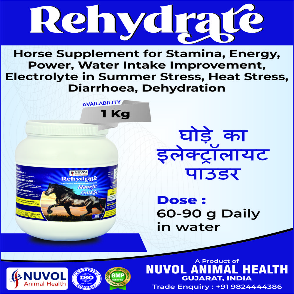 Powder 1 Kg Rehydrate Racing Horse Supplement