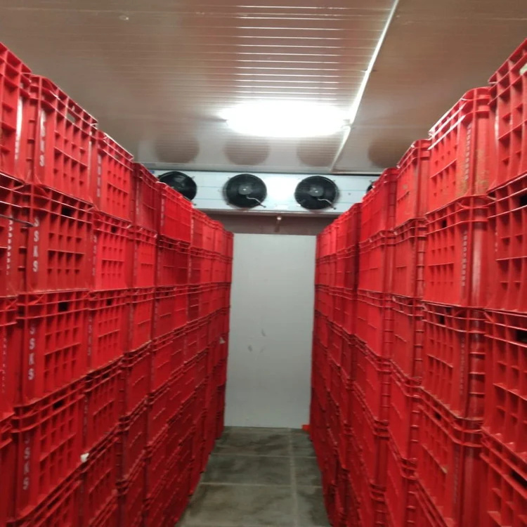 Cold Storage Rooms