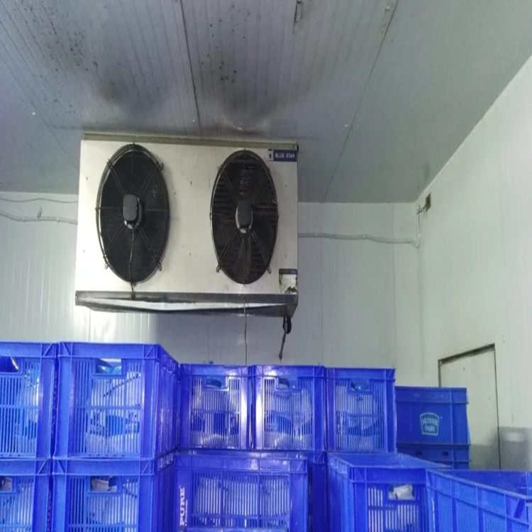 Ice Cream Cold Storage Room