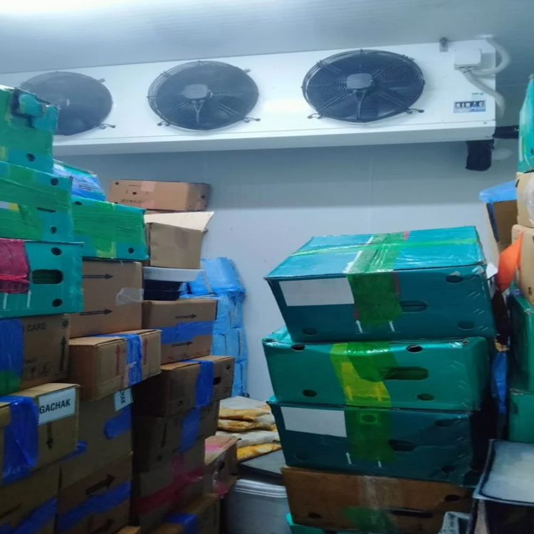 Ice Cream Cold Storage Room