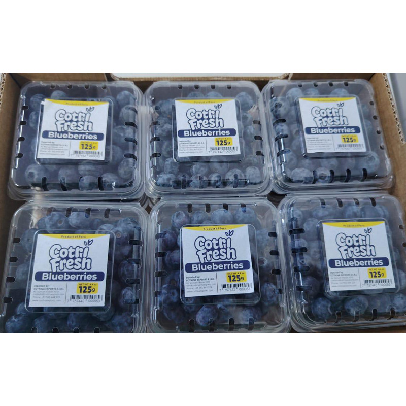 Jumbo Blueberries - Color: Natural