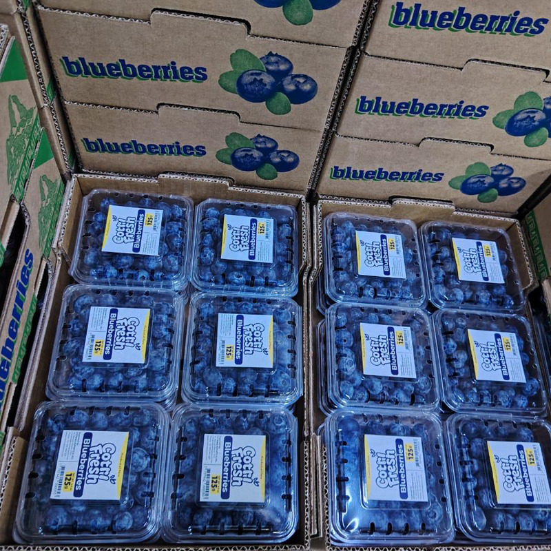 Fresh Blueberries - Color: Natural