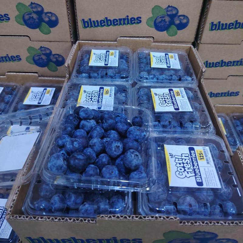 Frozen Blueberries - Color: Natural
