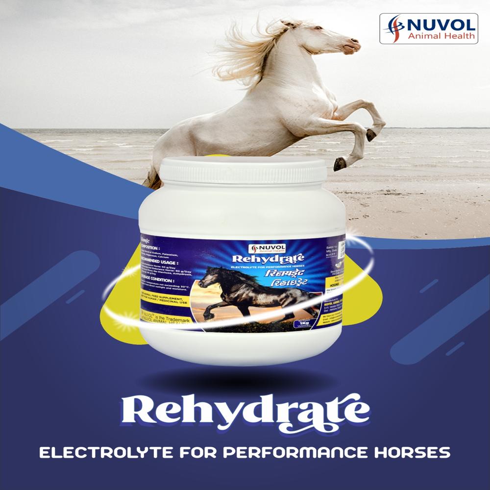 Rehydrate Horse Feed Additives