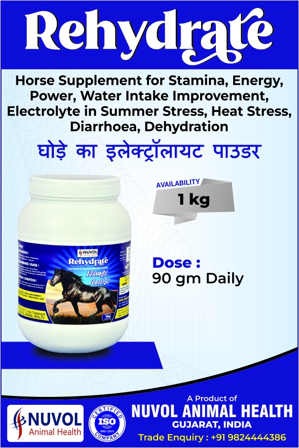 Rehydrate Electrolyte For Performance Horse