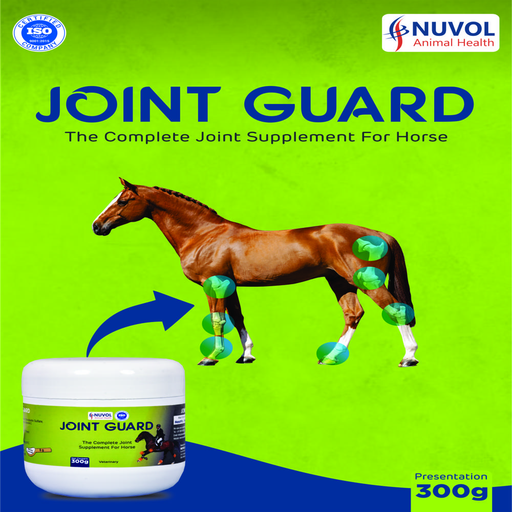 Joint Guard Joint Supplement For Horse