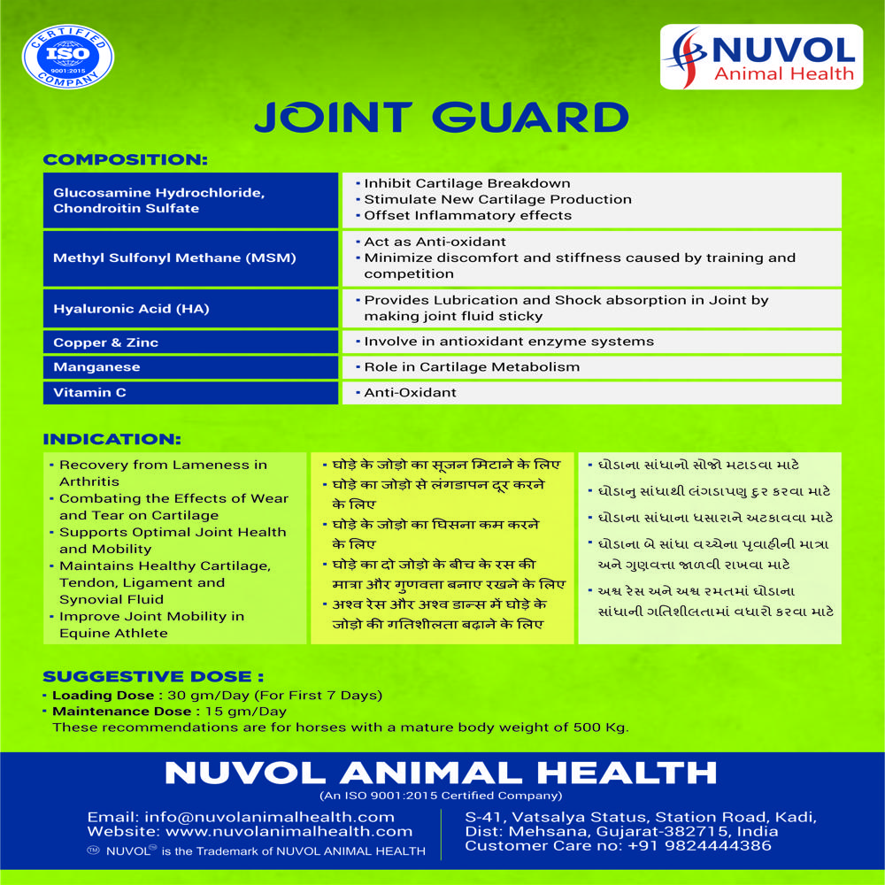 Joint Guard Joint Supplement For Horse