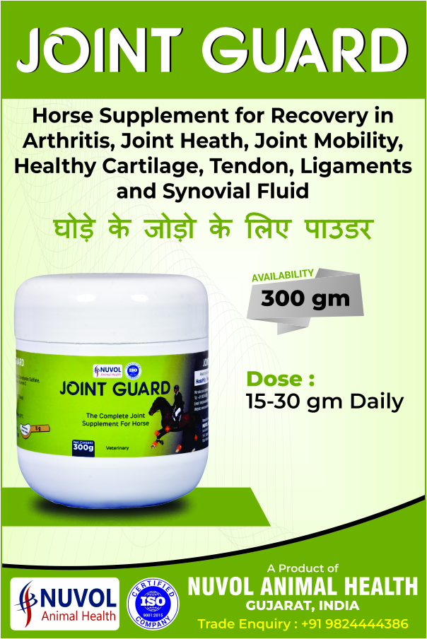 Joint Guard Joint Supplement For Horse