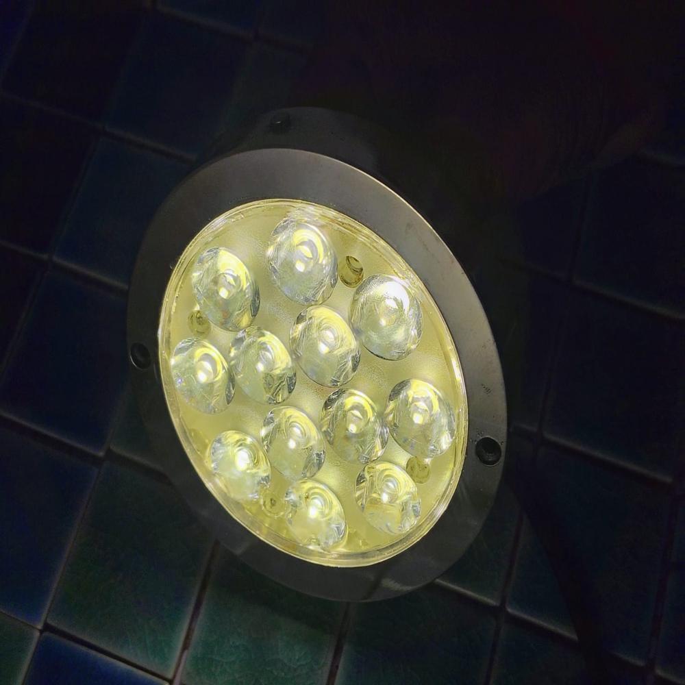 6 Watt Spot Pool Light - Color: Silver
