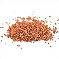 Small Mustard Seeds