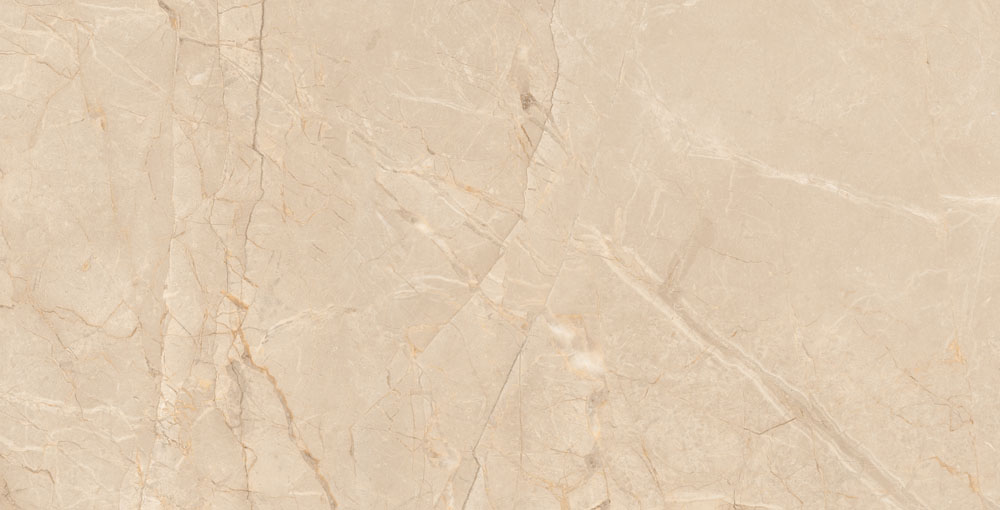 DLG - 101 60X120CM PORCELAIN TILES