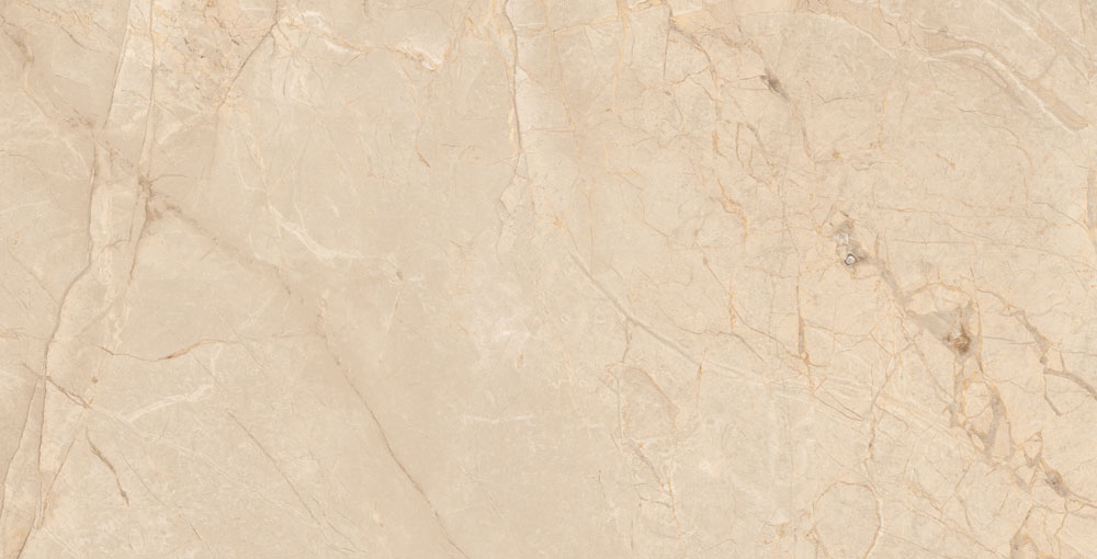 DLG - 101 60X120CM PORCELAIN TILES