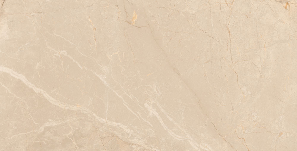 DLG - 101 60X120CM PORCELAIN TILES